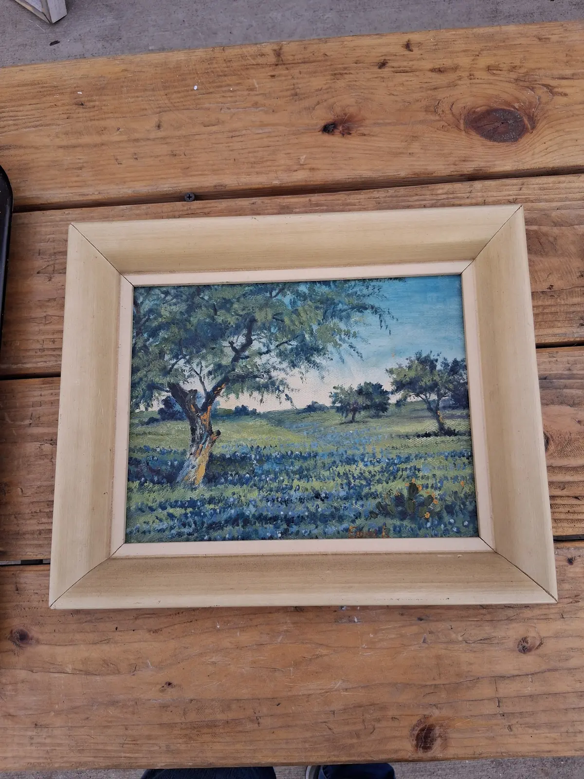 Small Framed Blue Bonnet Oil Painting Signed Ednak 1