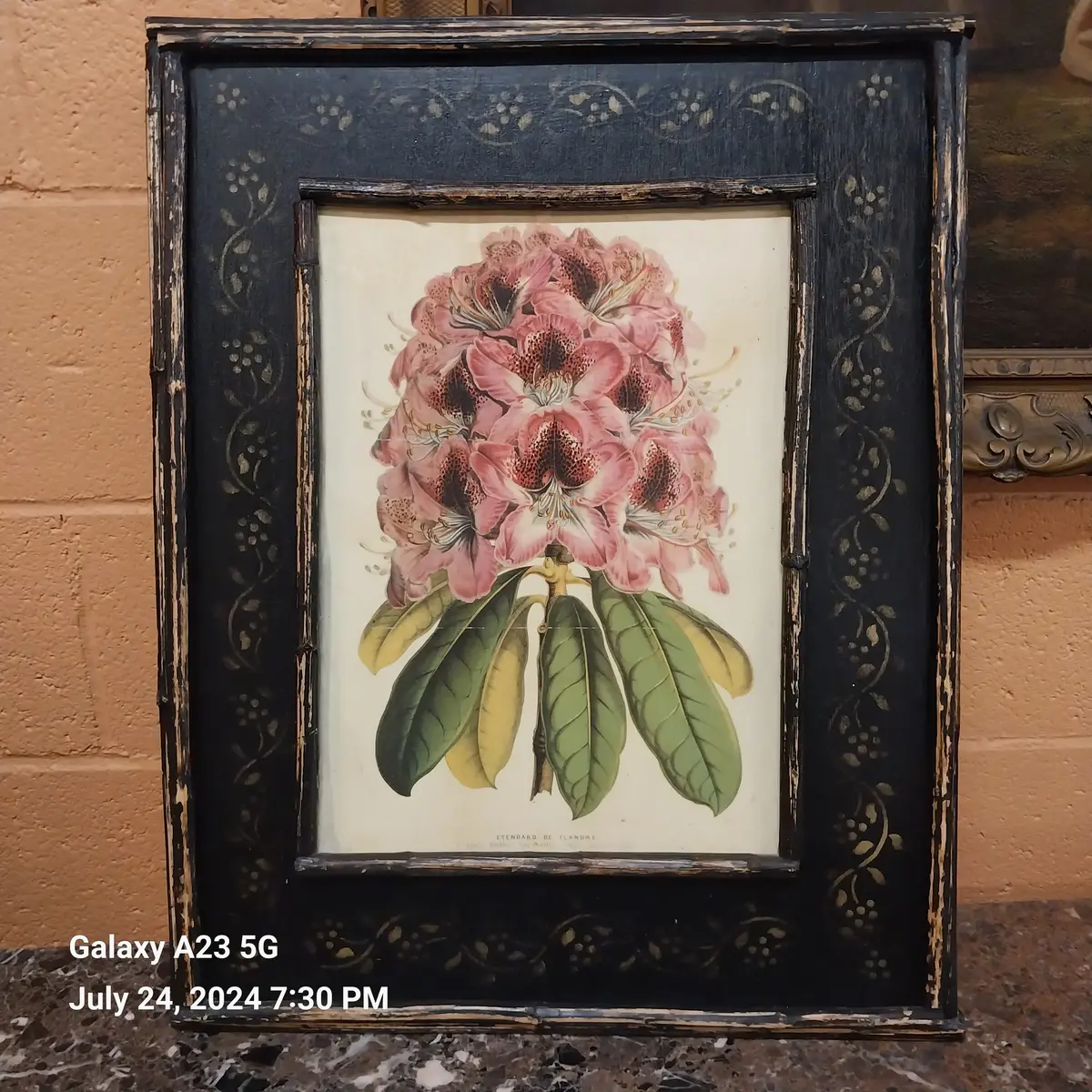 Botanical Oil Paintings On Board 1