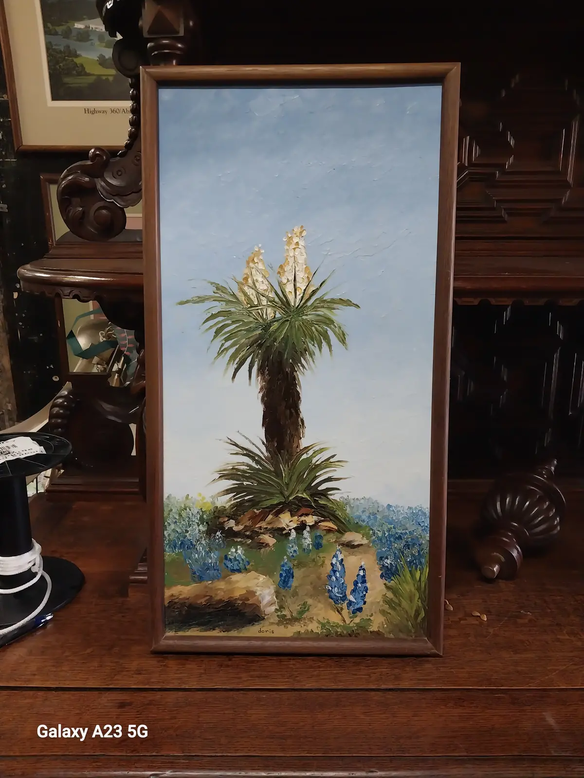 Framed Oil Painting Of A Yucca And Blue Bonnets Signed Doris 1