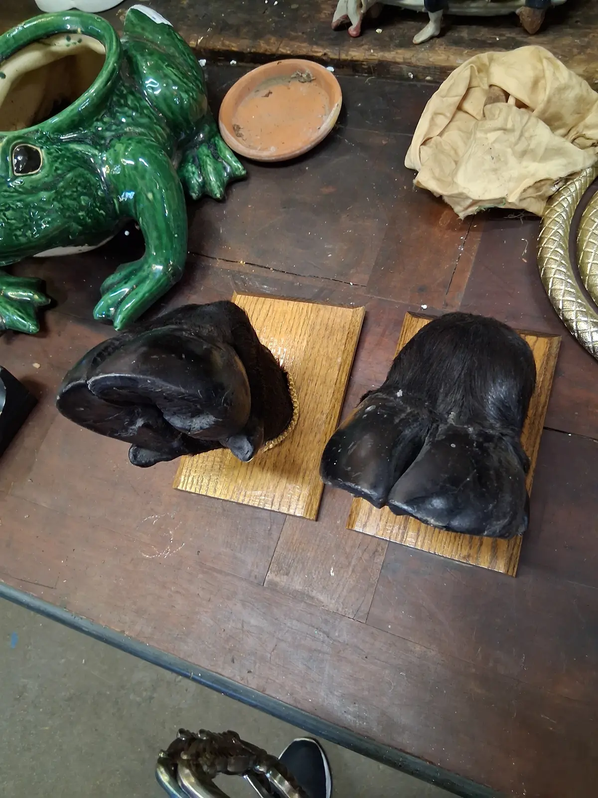 Pair Of African Cloven Hoofs 1