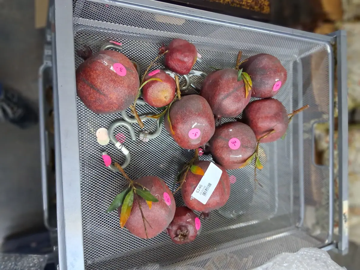 Lot Of Pomegranates 1