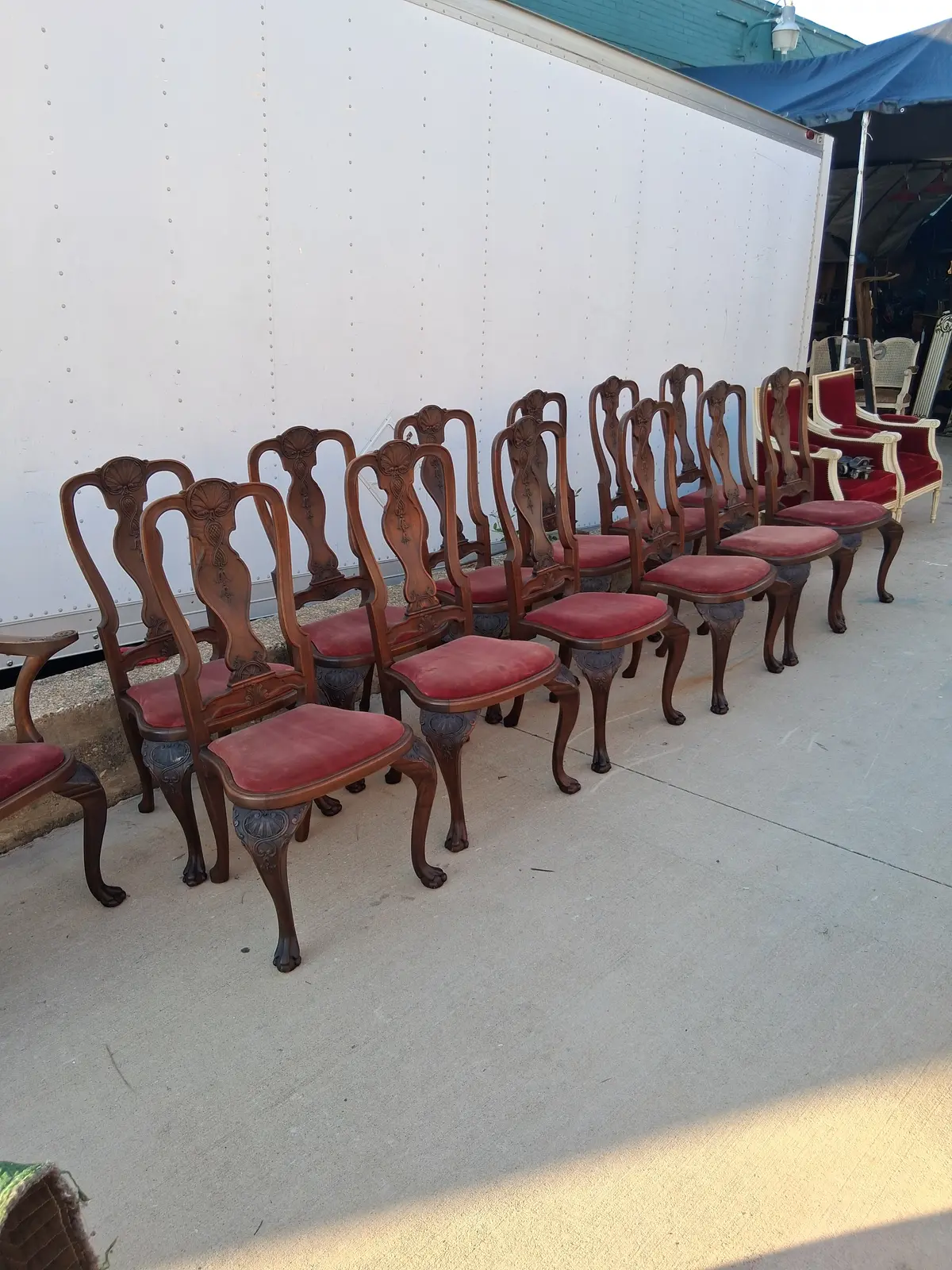 Set Of 12 Shell Carved Dark Walnut Chairs With 2 Arm Chairs 1